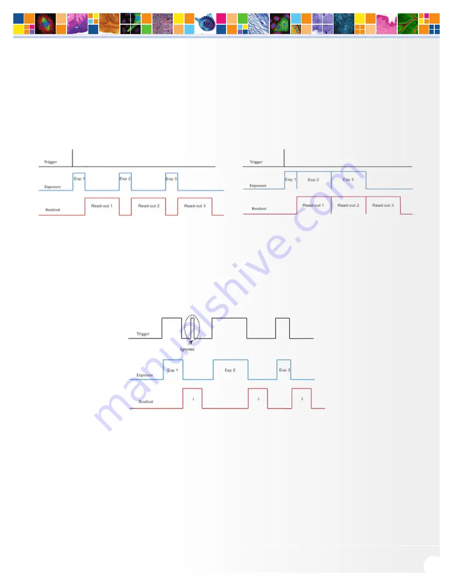 Q Imaging Retiga ELECTRO User Manual Download Page 16