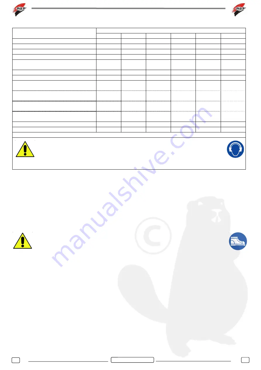 R2 RINALDI MT Instruction And Maintenance Manual Download Page 8