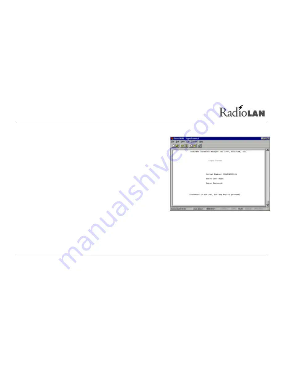 RadioLAN DockLINK User Manual Download Page 75