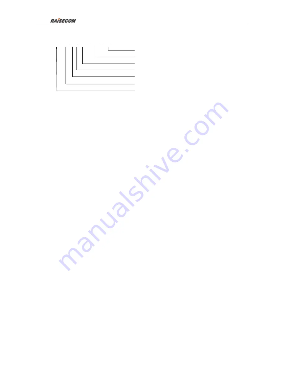 Raisecom RCMS2404-240 User Manual Download Page 5