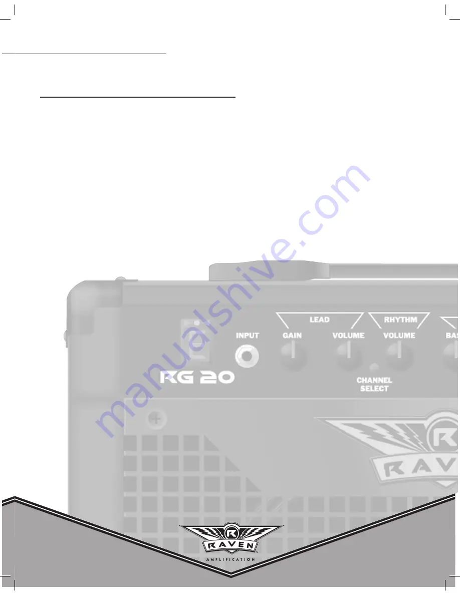 Raven 20 WATT RG20 User Manual Download Page 3