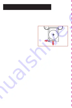 raya BRITE STIX RGB LED User Manual Download Page 13