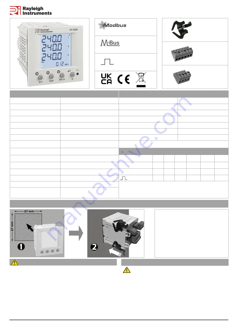 Rayleigh Instruments RI-F220 Скачать руководство пользователя страница 1