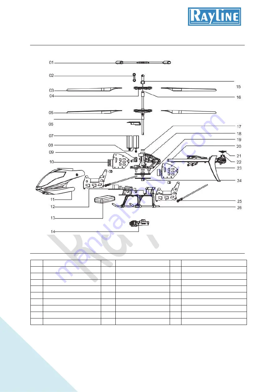 Rayline R20C Operation Manual Download Page 2