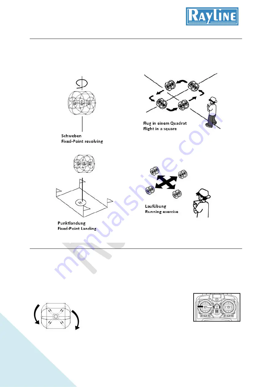 Rayline R800 Manual Download Page 6