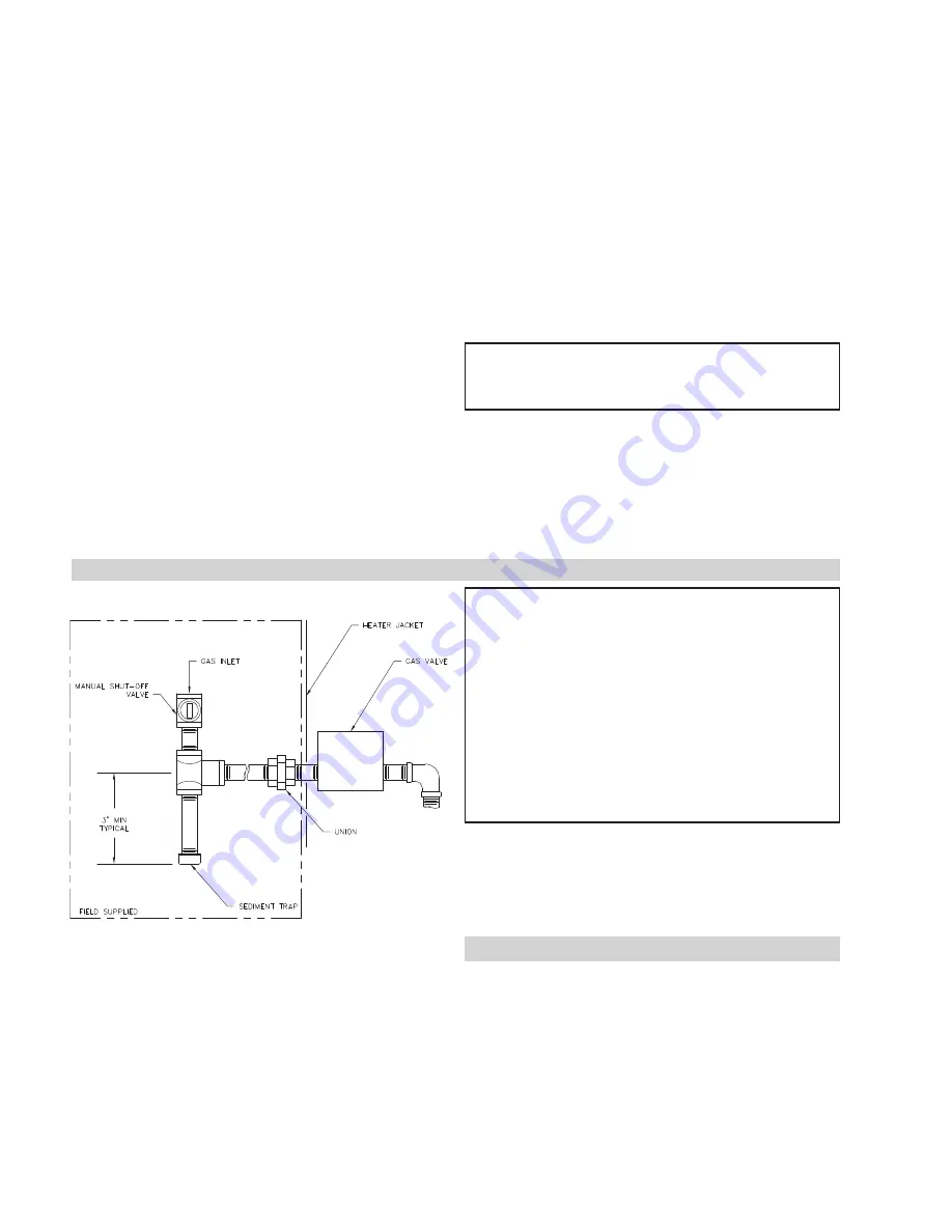 Raypak 259 Installation & Operating Instructions Manual Download Page 24