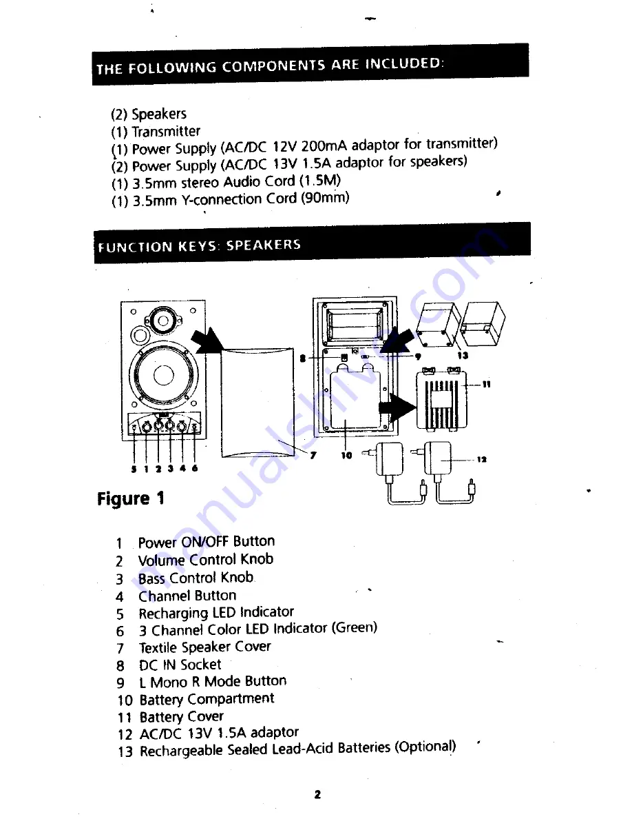 RCA WSP250 Скачать руководство пользователя страница 2