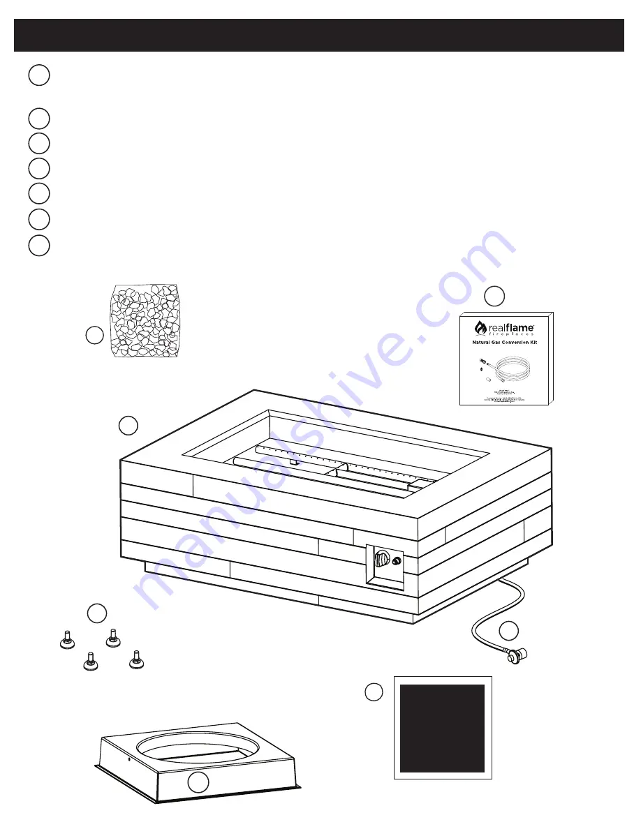 RealFlame C11800LP Owner'S Manual Download Page 8