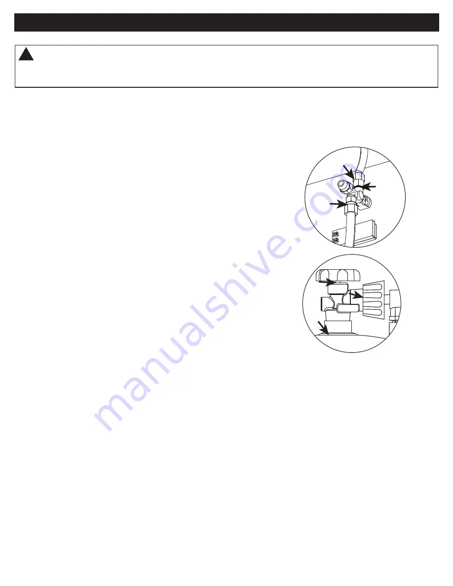 RealFlame C11800LP Owner'S Manual Download Page 13