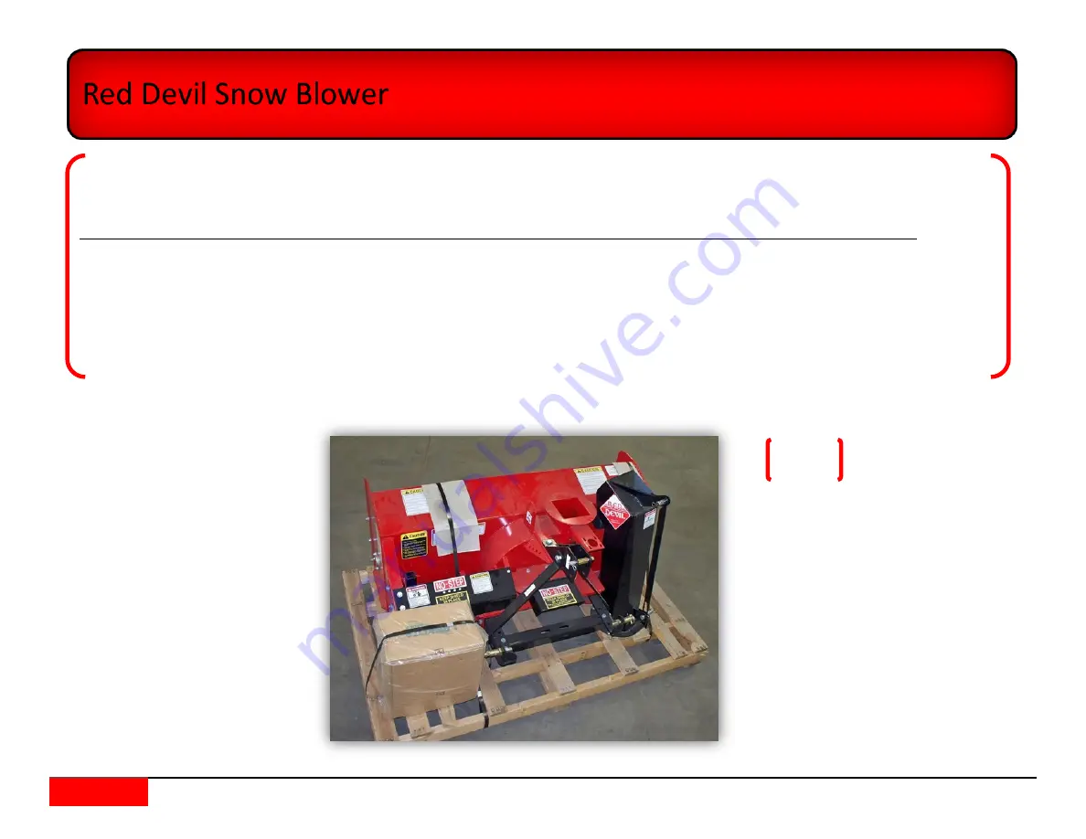 RED DEVIL RED23306 Owner'S Manual Download Page 2