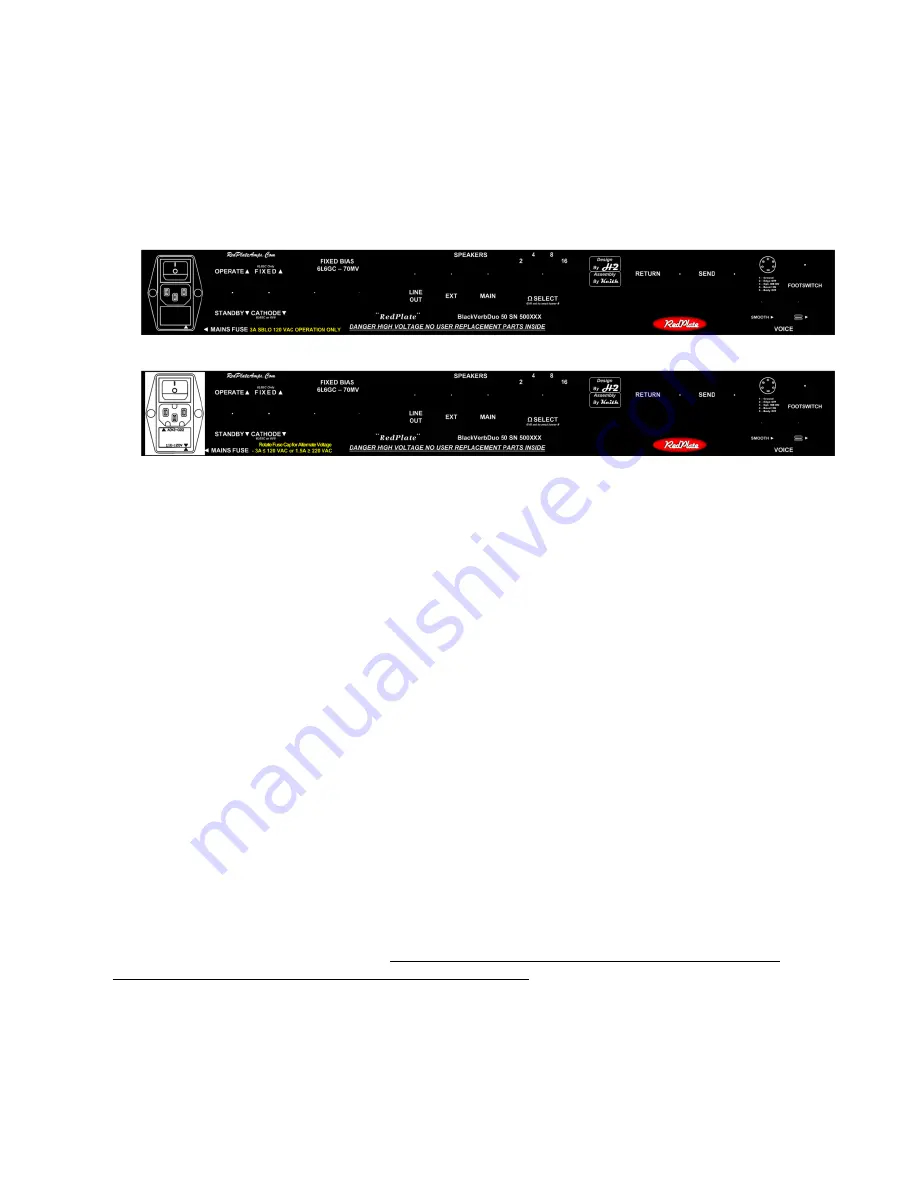 RedPlate BlackVerbDue Operation Manual Download Page 4