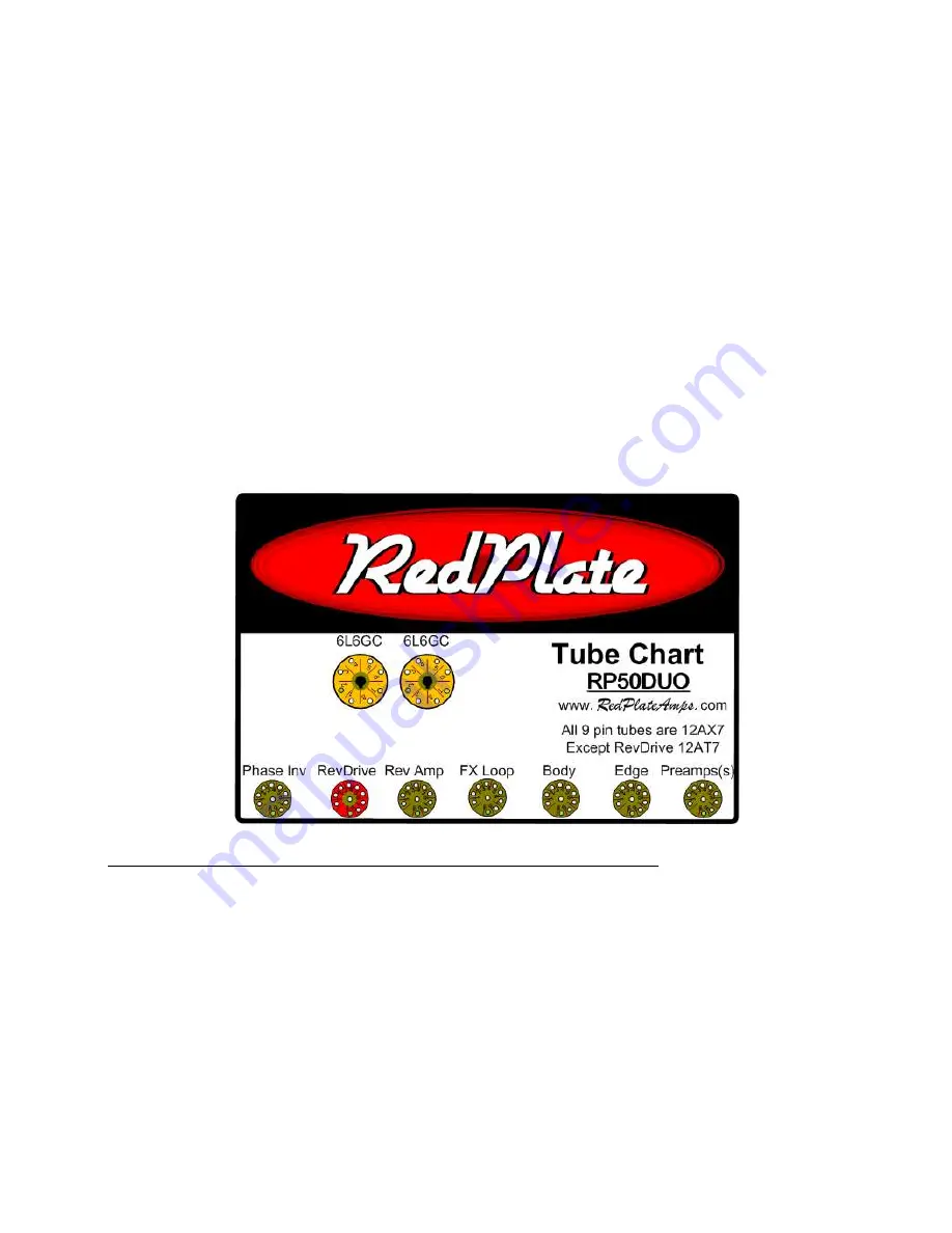 RedPlate RP50D Скачать руководство пользователя страница 8