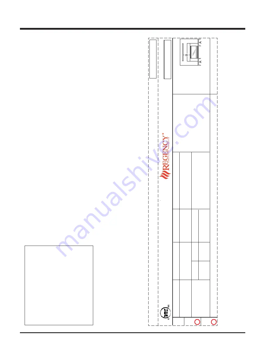 Regency Fireplace Products E21 Gas Insert Owners & Installation Manual Download Page 4