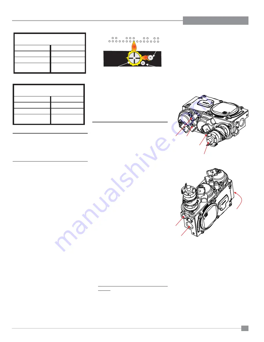 Regency HZI390E-LP1 Owners & Installation Manual Download Page 19