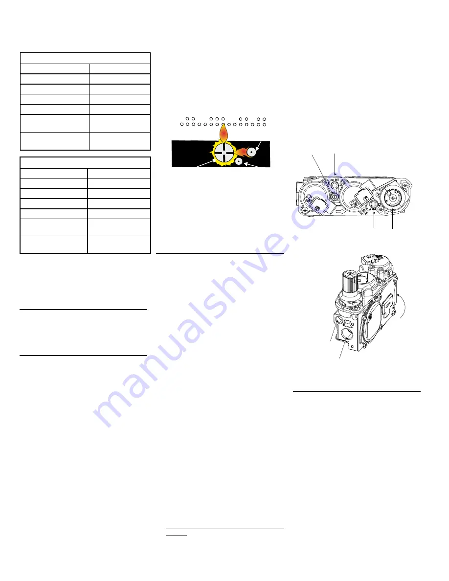 Regency PTO30-NG1 Owners & Installation Manual Download Page 13