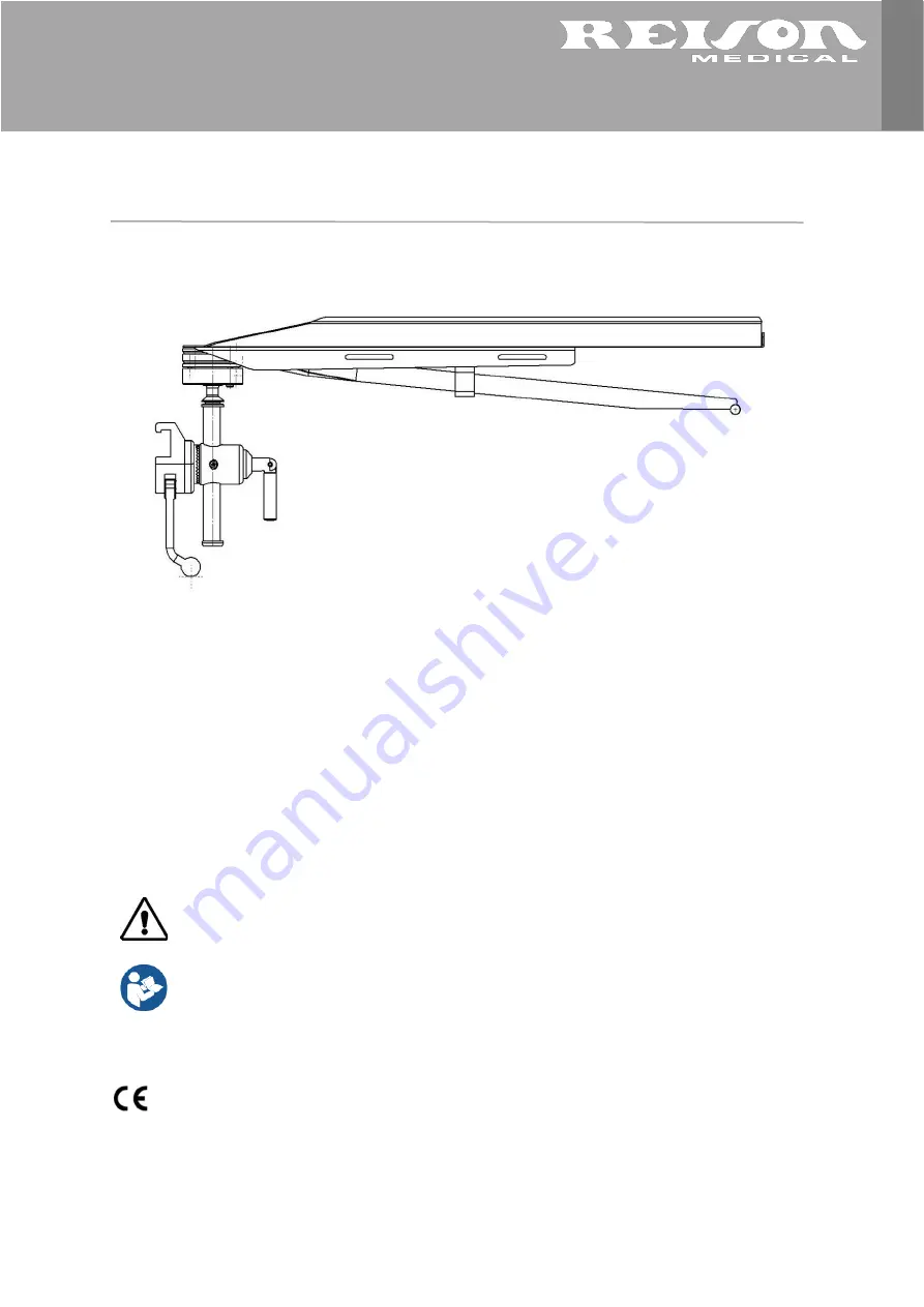 Reison 10-387 Manual Download Page 1