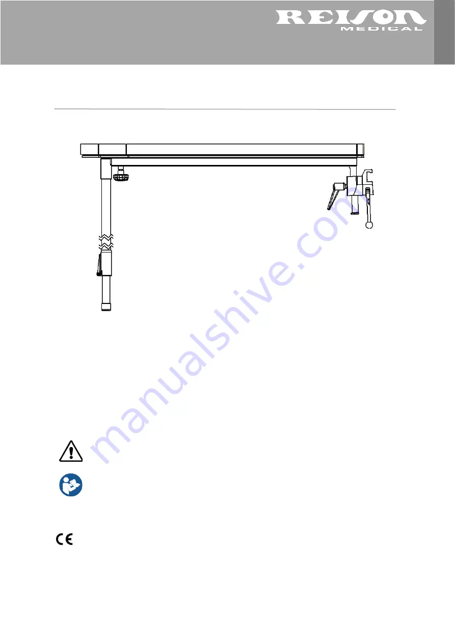 Reison 10-390 Series User Instruction Download Page 1