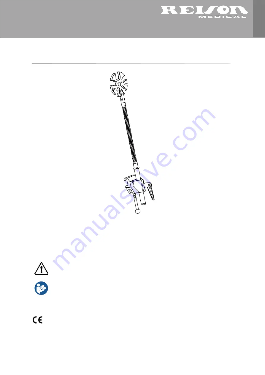 Reison 10-613 Quick Start Manual Download Page 1