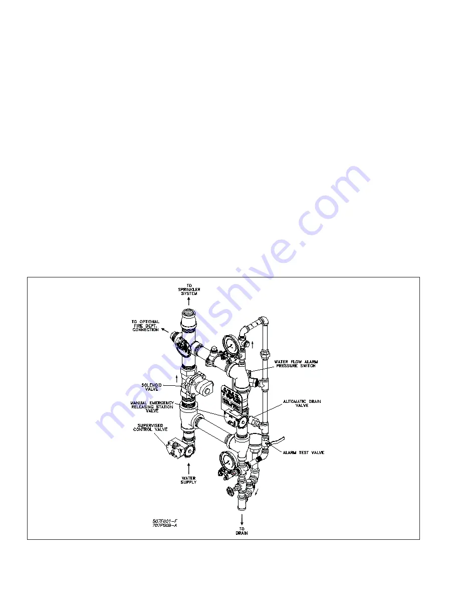 Reliable H Deluge Riser Instructions For Installation, Operation Care And Maintenance Download Page 2