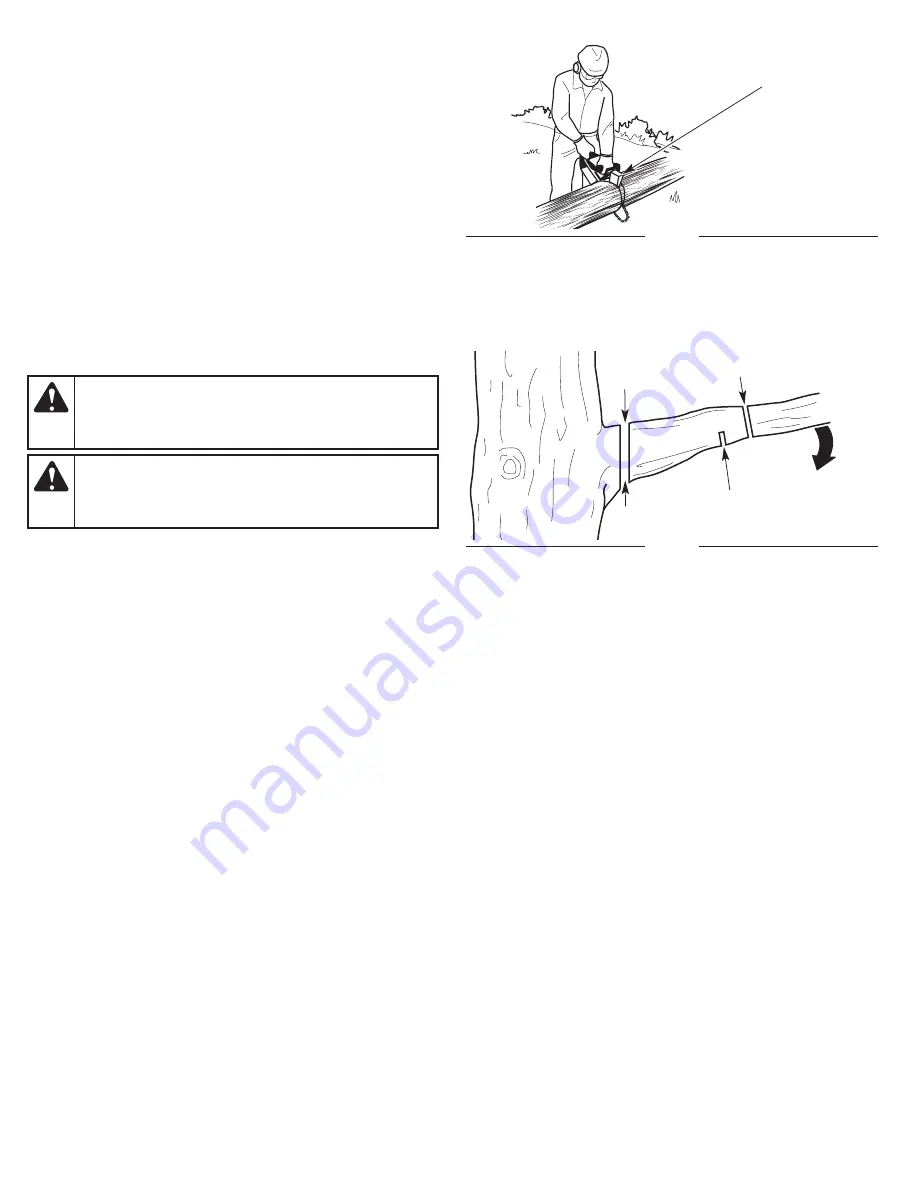 Remington RM1025P Operator'S Manual Download Page 21