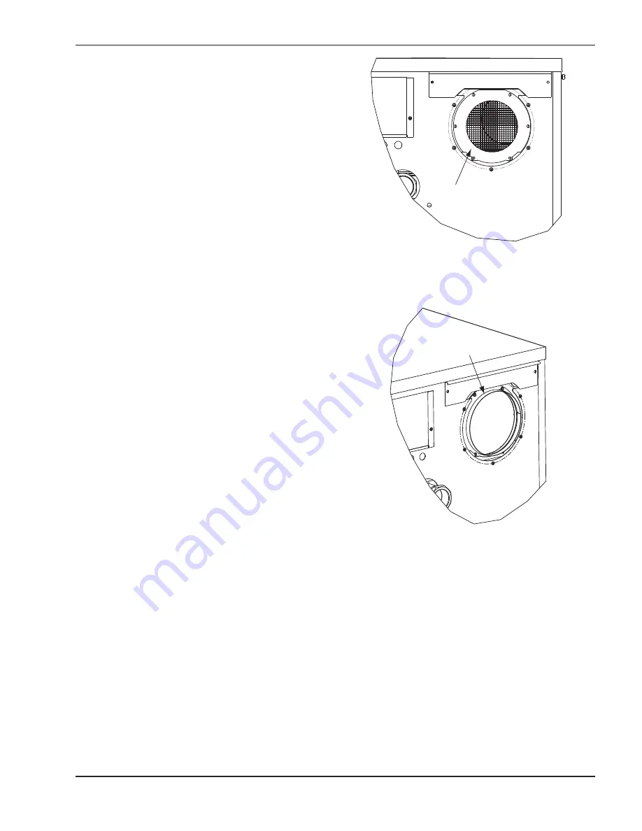 Rheem Raypak XTherm 1005A Скачать руководство пользователя страница 11