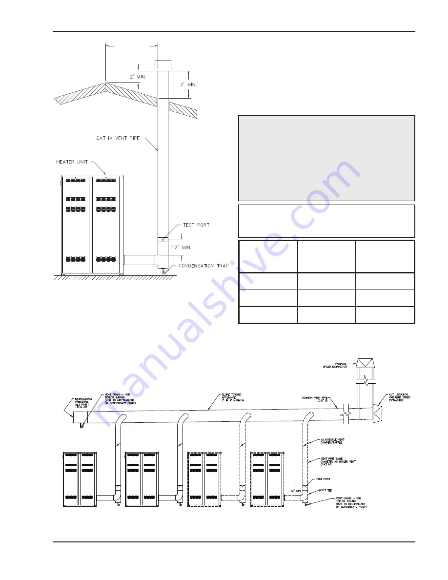 Rheem Raypak XTherm 1005A Скачать руководство пользователя страница 31