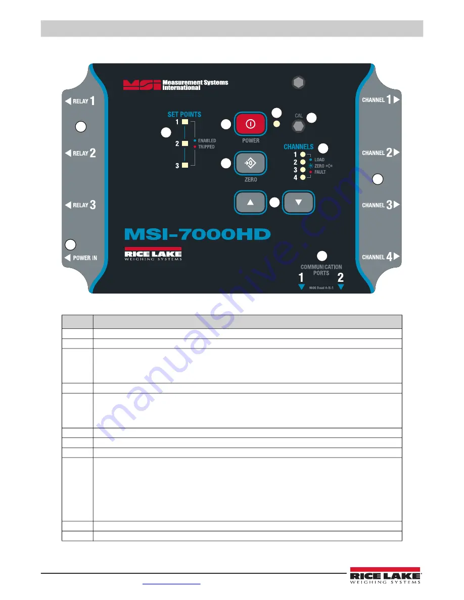 Rice Lake MSI-8000 Скачать руководство пользователя страница 12