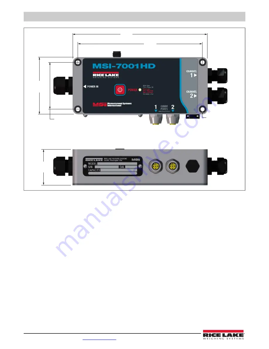 Rice Lake MSI-8000 Скачать руководство пользователя страница 22