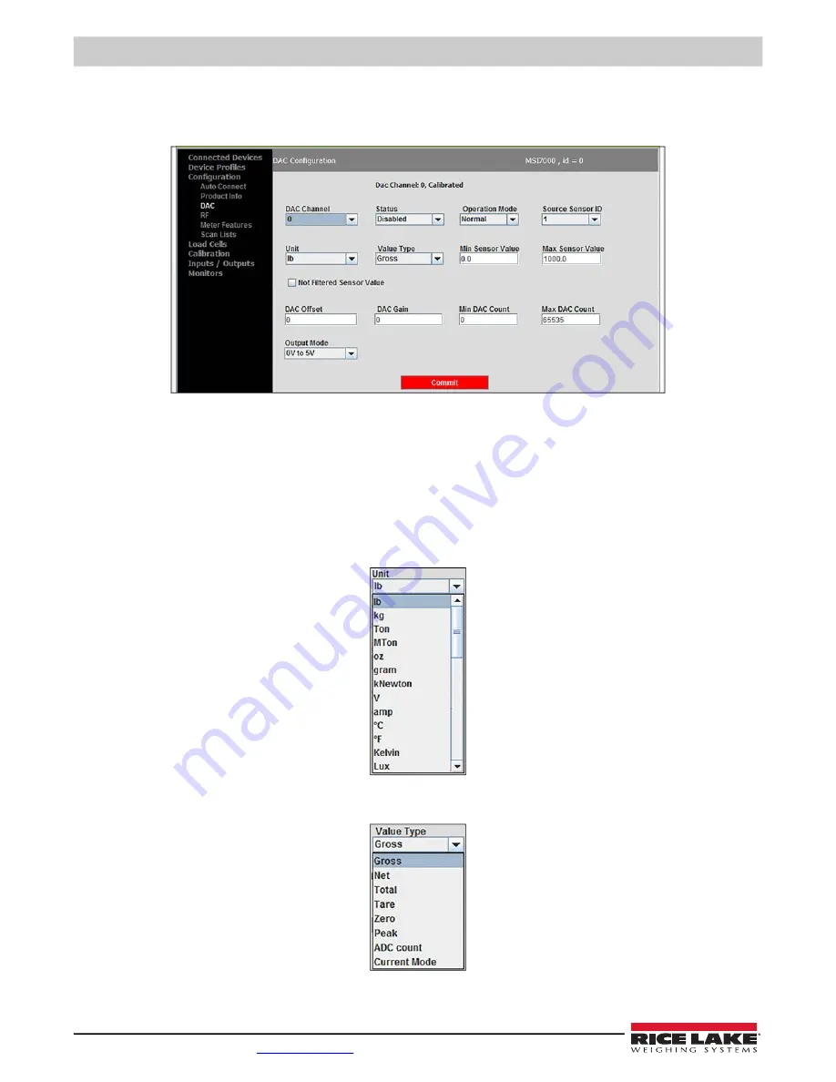 Rice Lake MSI-8000 Скачать руководство пользователя страница 26