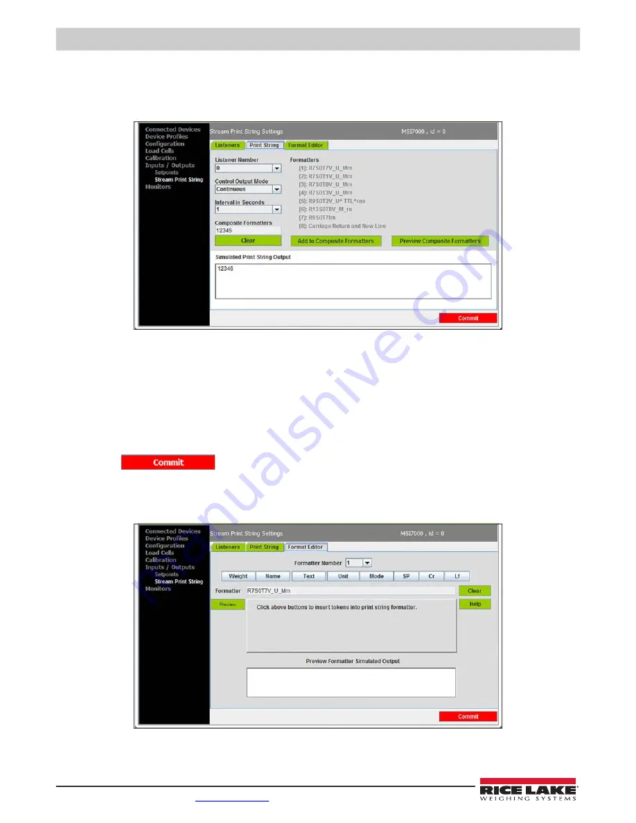 Rice Lake MSI-8000 Technical Manual Download Page 42