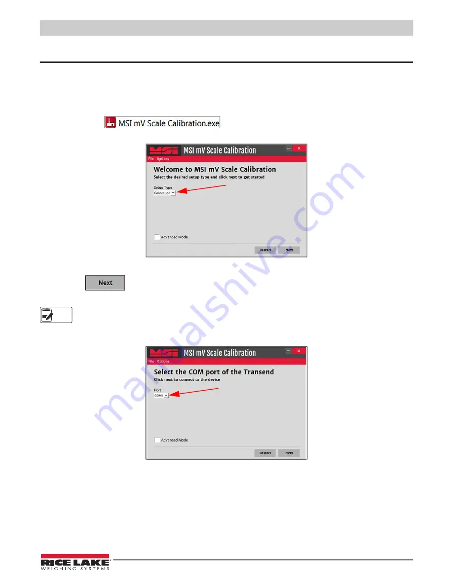 Rice Lake MSI-8000 Technical Manual Download Page 43