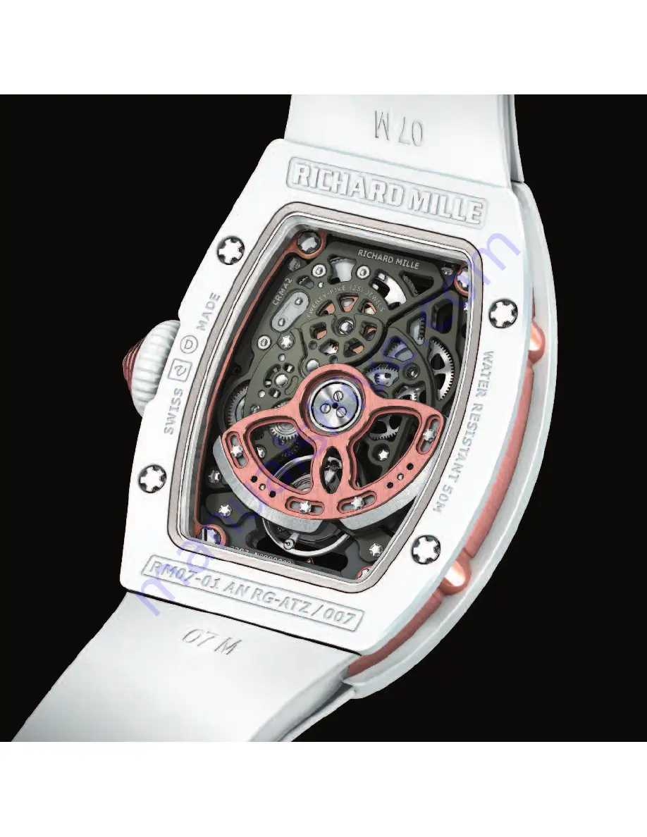 Richard Mille LADIES RM07-01 User Manual Download Page 5