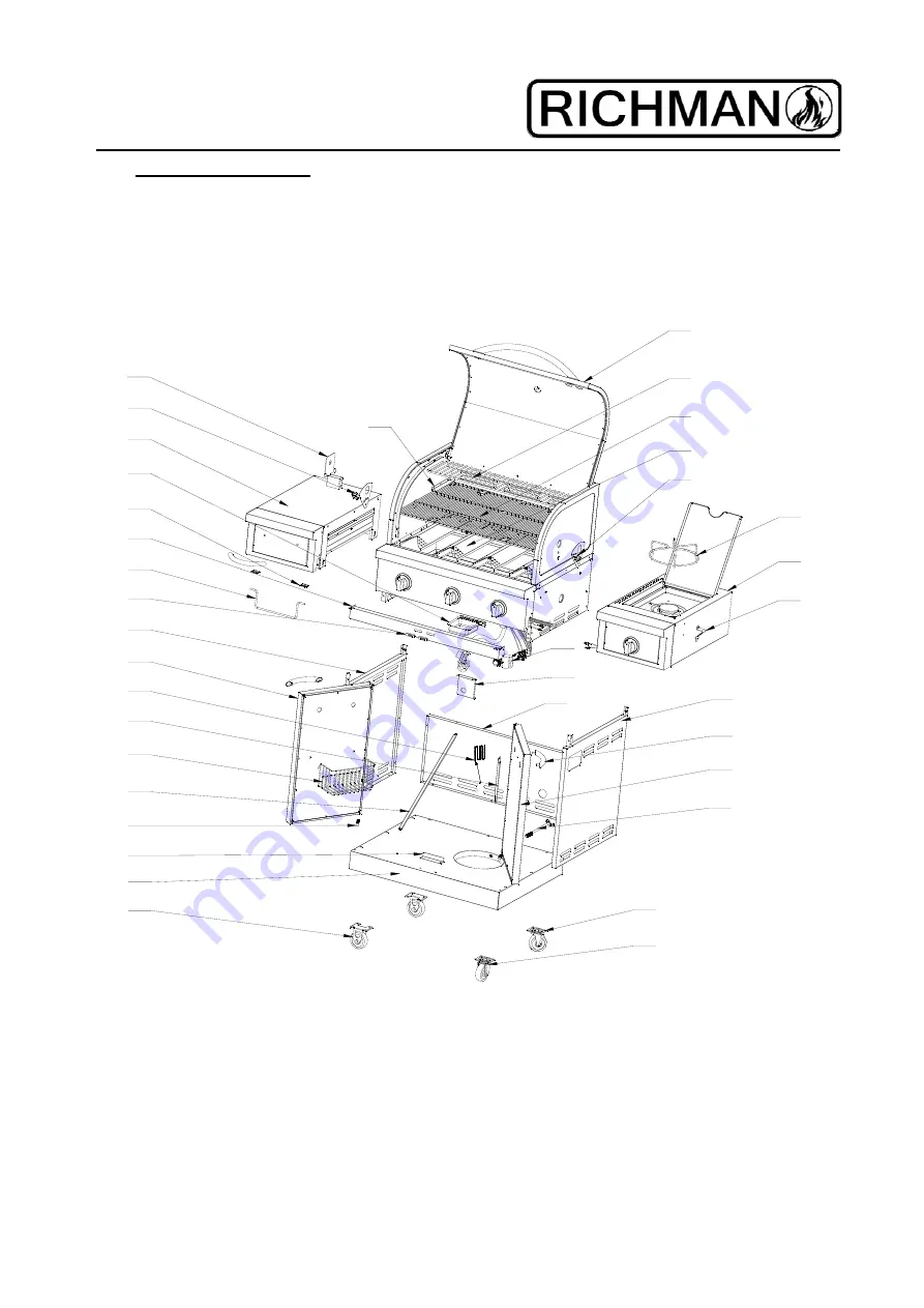 Richman RM310 Скачать руководство пользователя страница 9