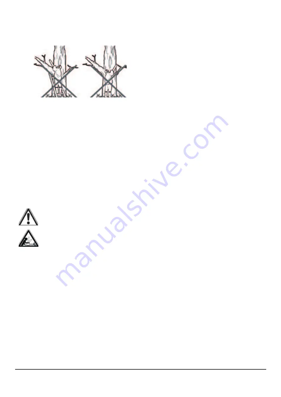 RidgeLine 97006 Manual Download Page 39