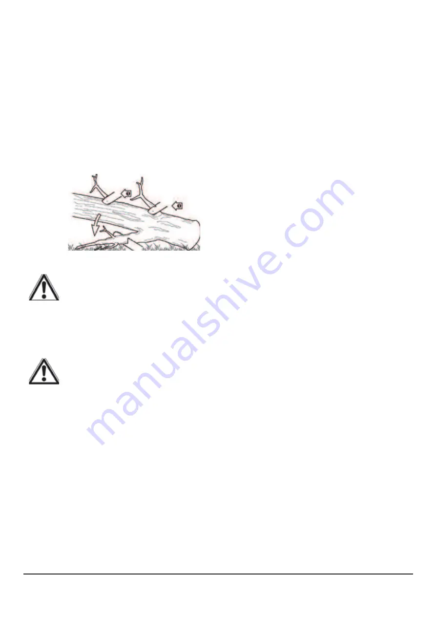 RidgeLine 97006 Manual Download Page 43