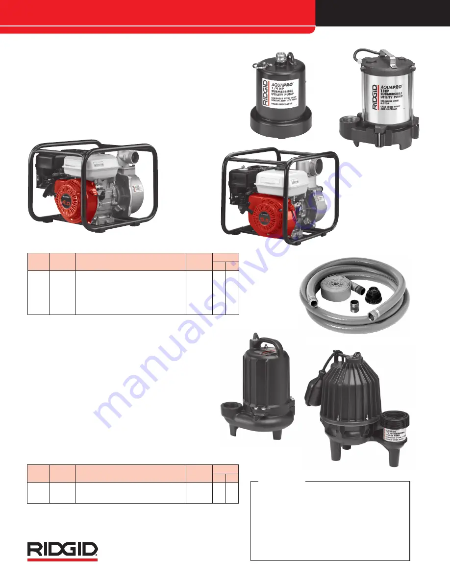 RIDGID AQUAPRO TP-250 Скачать руководство пользователя страница 2