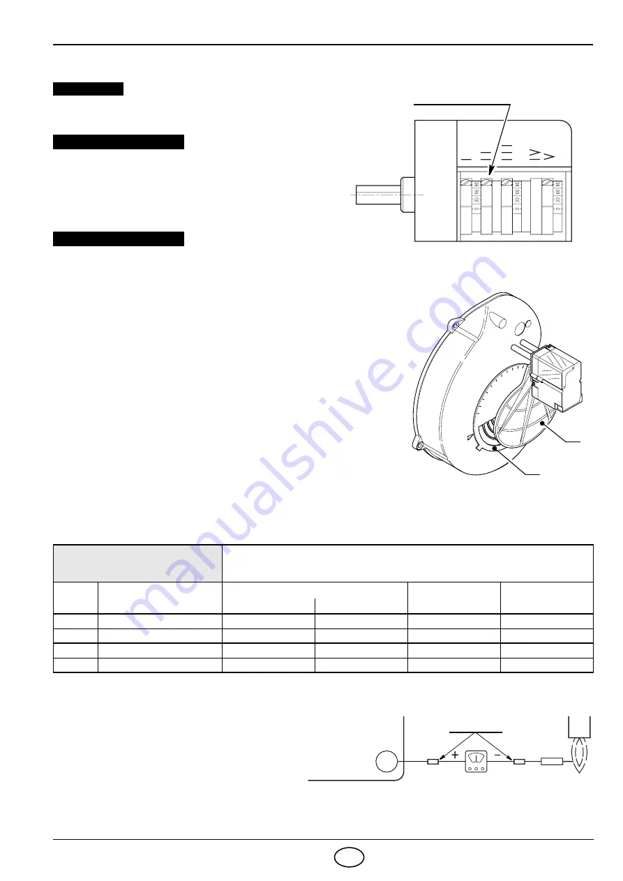 Riello FS20D 591M Installation, Use And Maintenance Instructions Download Page 51