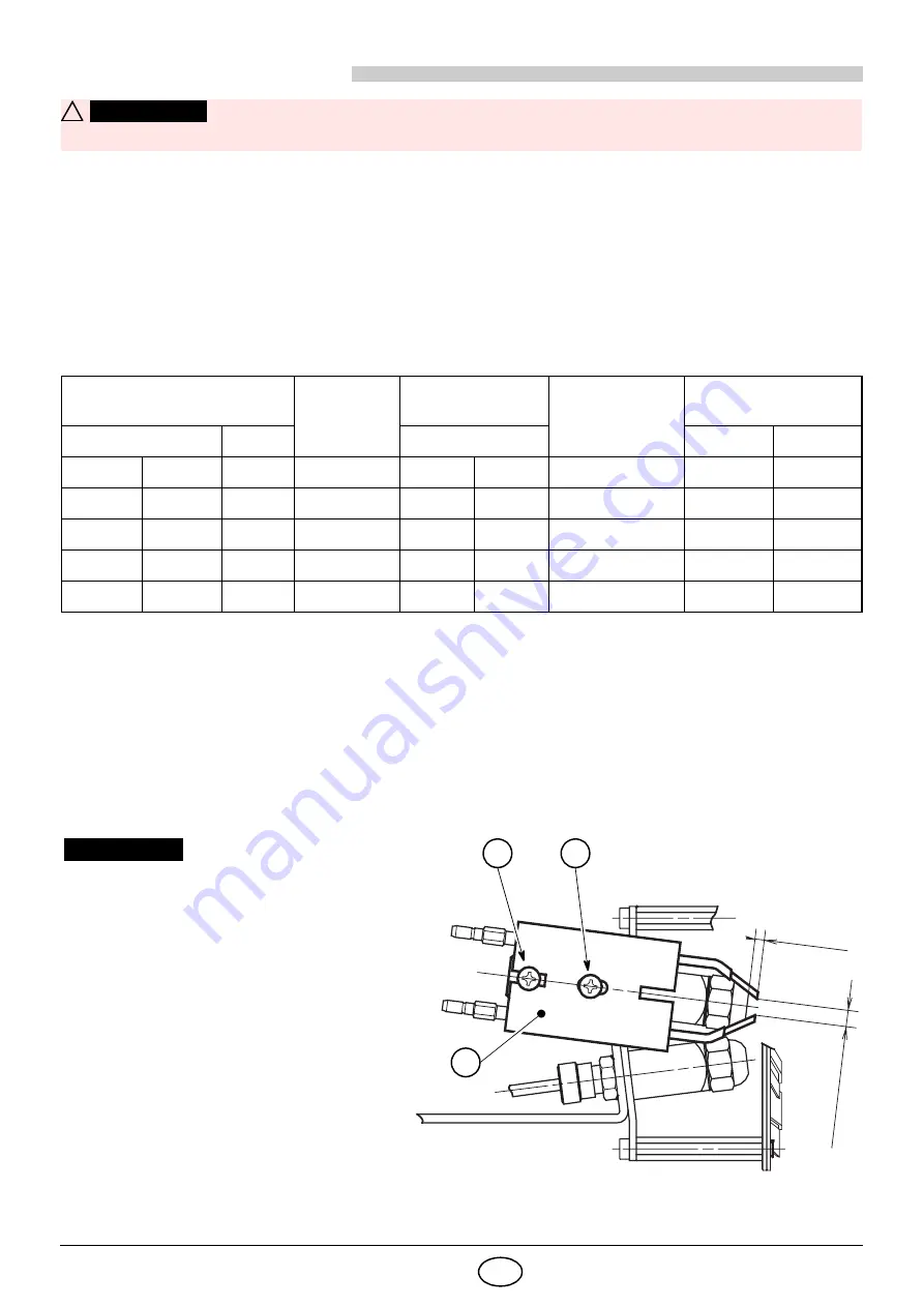 Riello Gulliver RG5D TL Installation, Use And Maintenance Instructions Download Page 60