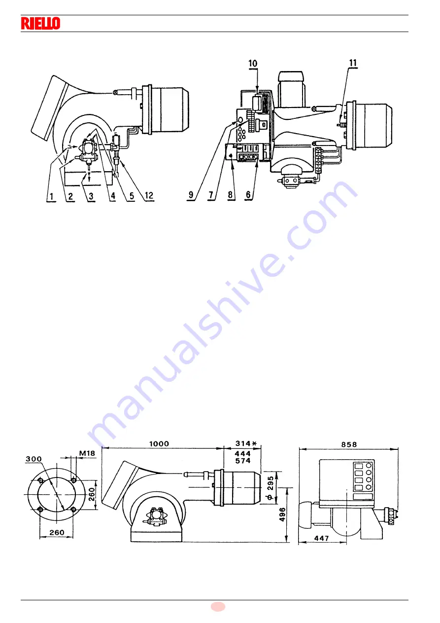 Riello P 300 T/G Скачать руководство пользователя страница 4