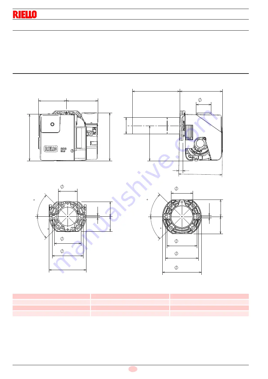 Riello RDB2.2 BG1 BLU 16 Скачать руководство пользователя страница 10