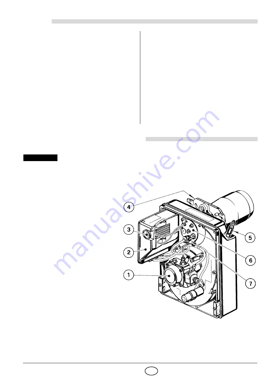 Riello RG2F Installation, Use And Maintenance Instructions Download Page 5