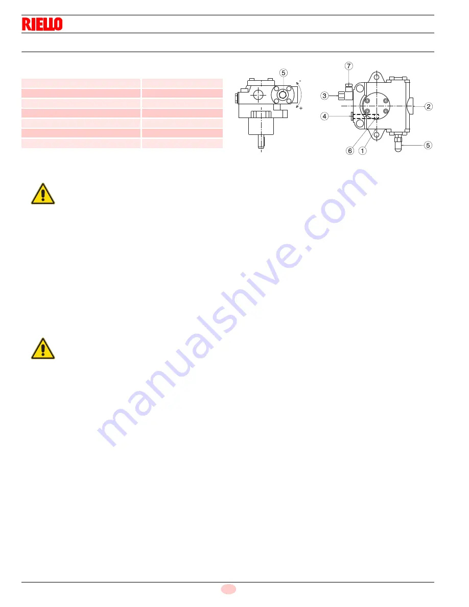 Riello RLAS 1000 EV Installation, Use And Maintenance Instructions Download Page 30