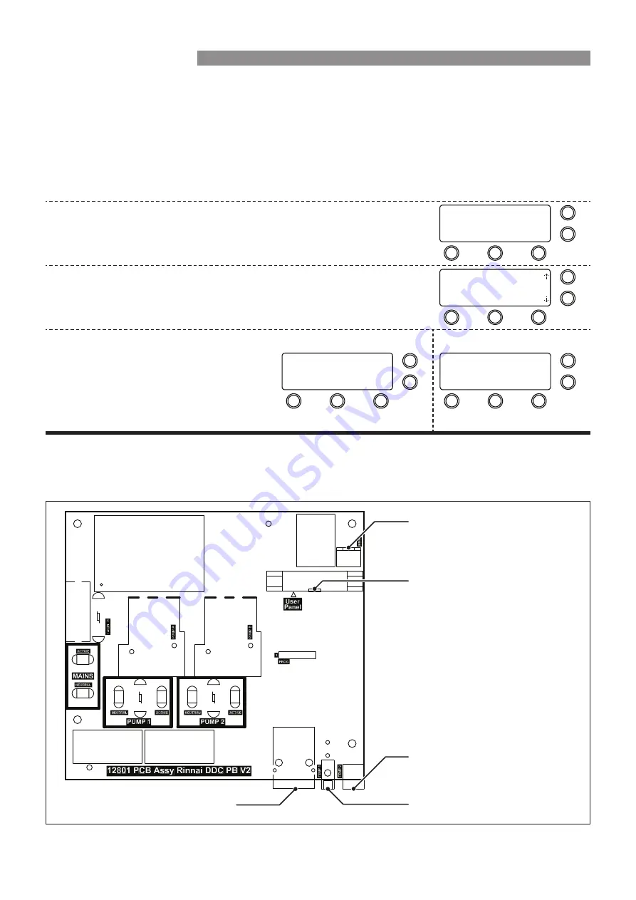 Rinnai DDPCDEL Скачать руководство пользователя страница 24