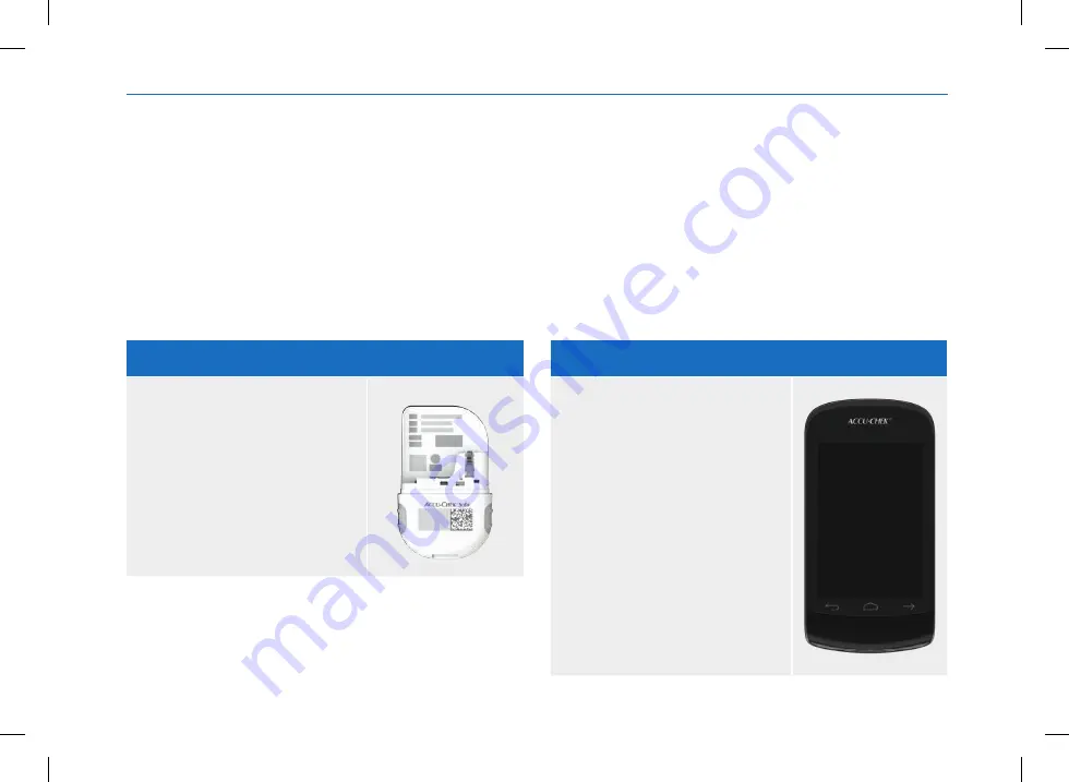 Roche Accu-Chek Solo User Manual Download Page 18