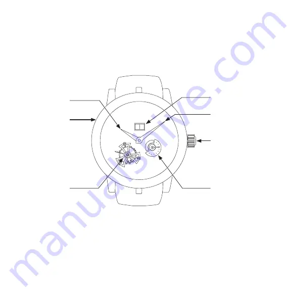 Roger Dubuis RD540 Скачать руководство пользователя страница 6