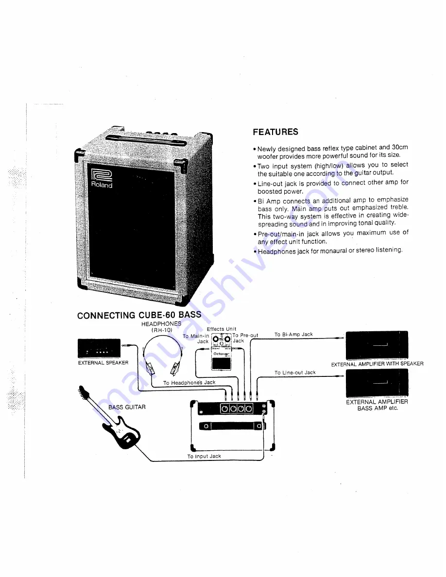 Roland Cube-60 Bass Instructions Manual Download Page 2