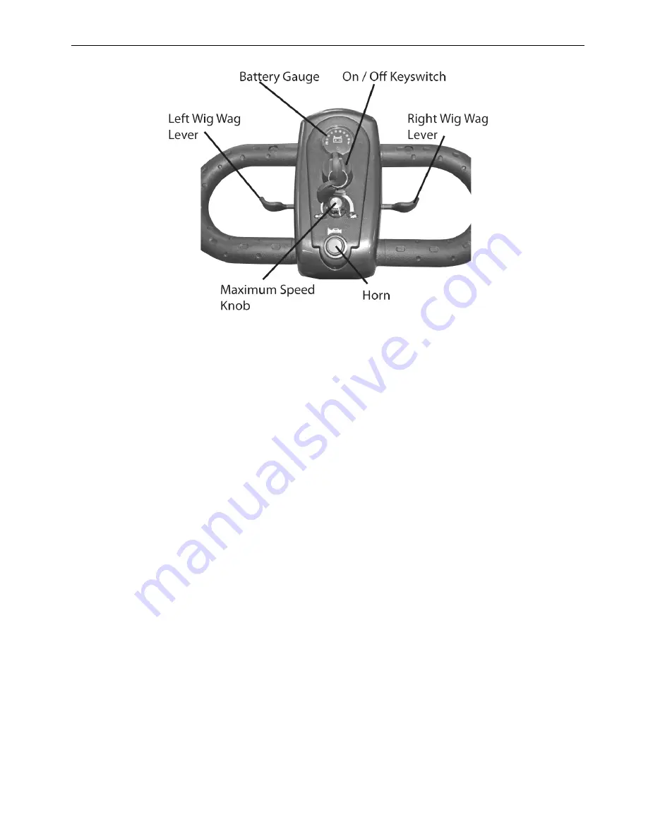 Roma Medical Vegas 2 R100 User Manual Download Page 8