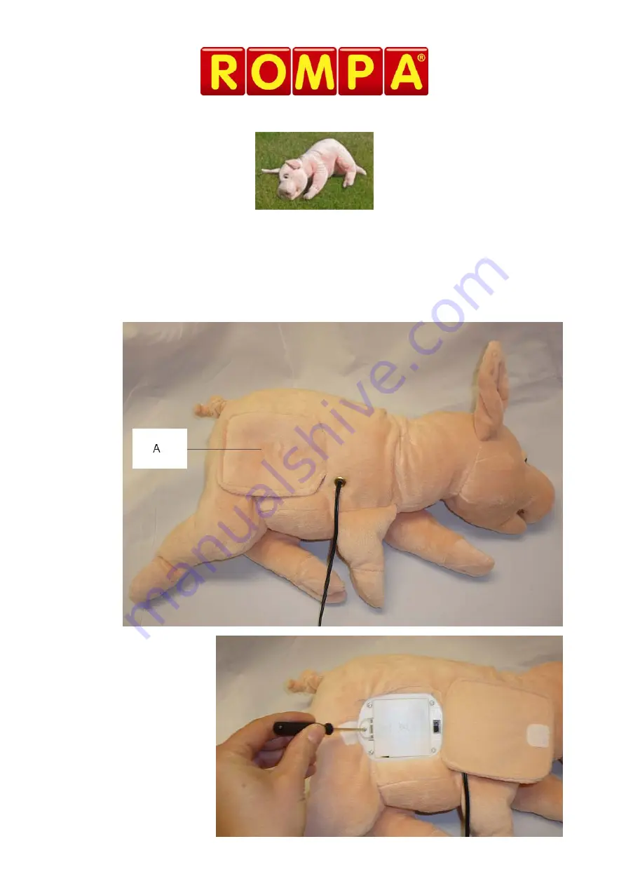 Rompa SNORING PIG Manual Download Page 1