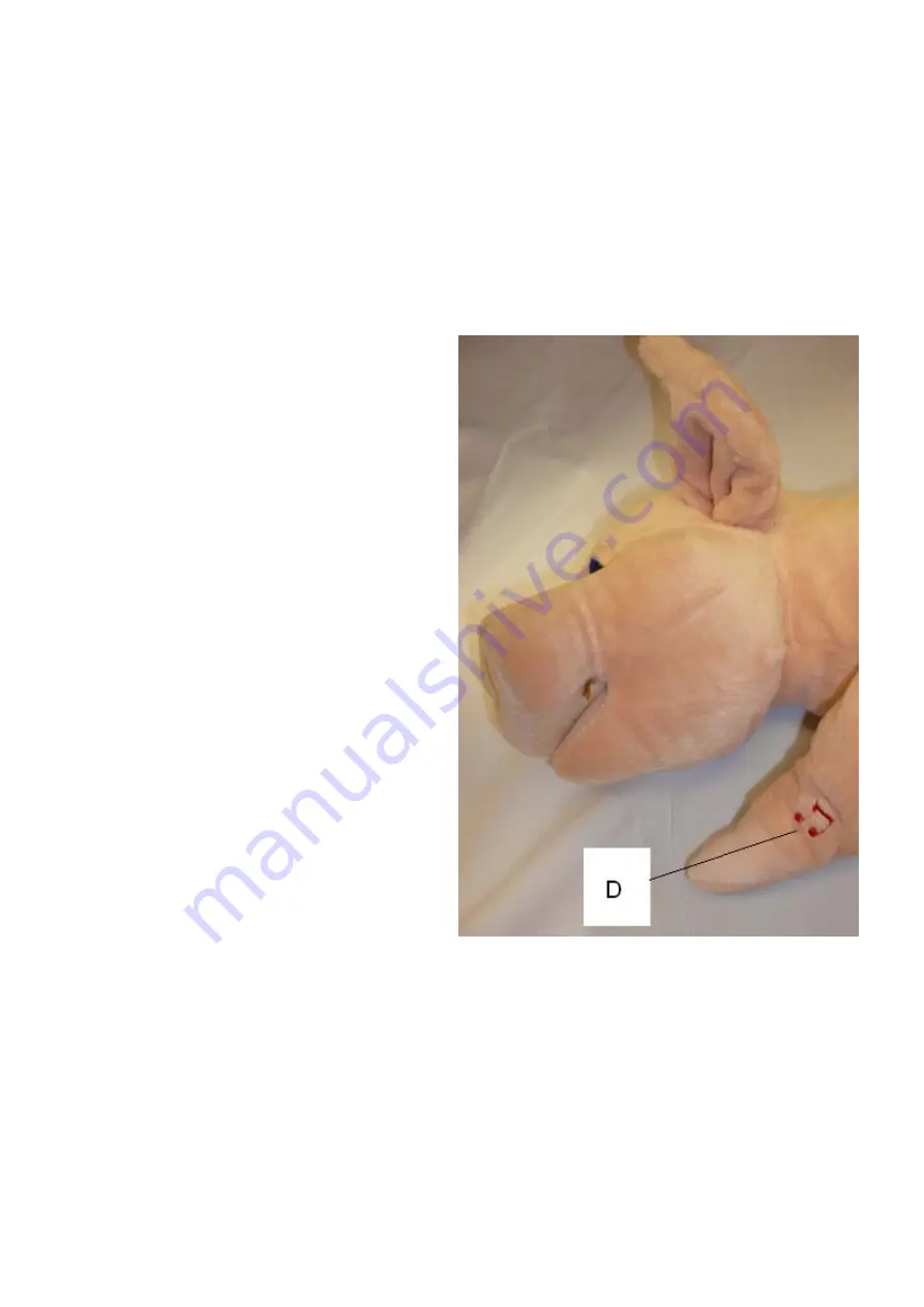 Rompa SNORING PIG Manual Download Page 3