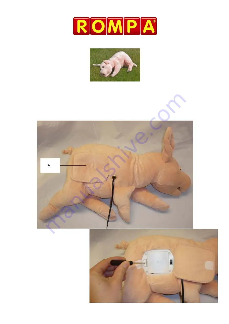 Rompa SNORING PIG Manual Download Page 4